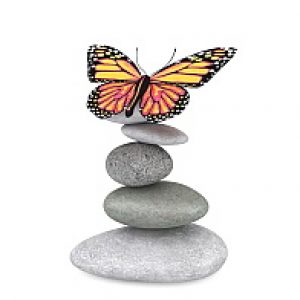 Principles of Palliative Care