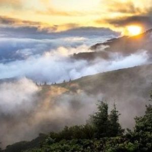 Breath-Body-Mind Integration