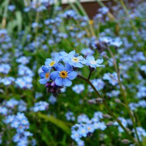 Palliative Care Training for Care Home staff - Bundle offer